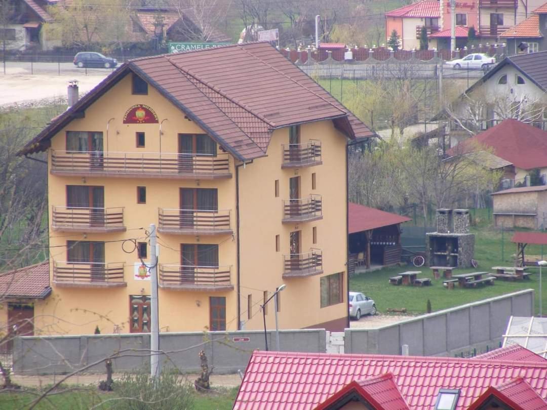 Pensiunea Riffelt Bran  Buitenkant foto